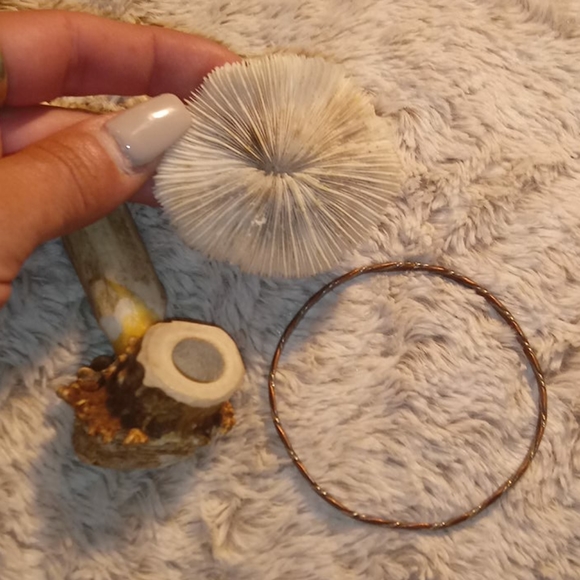 Interesting lot of cases bracelet bone shell mix - Picture 11 of 16